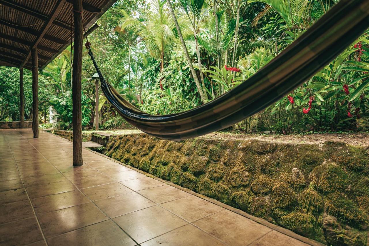 טראפוטו Huingos Eco Lodge מראה חיצוני תמונה