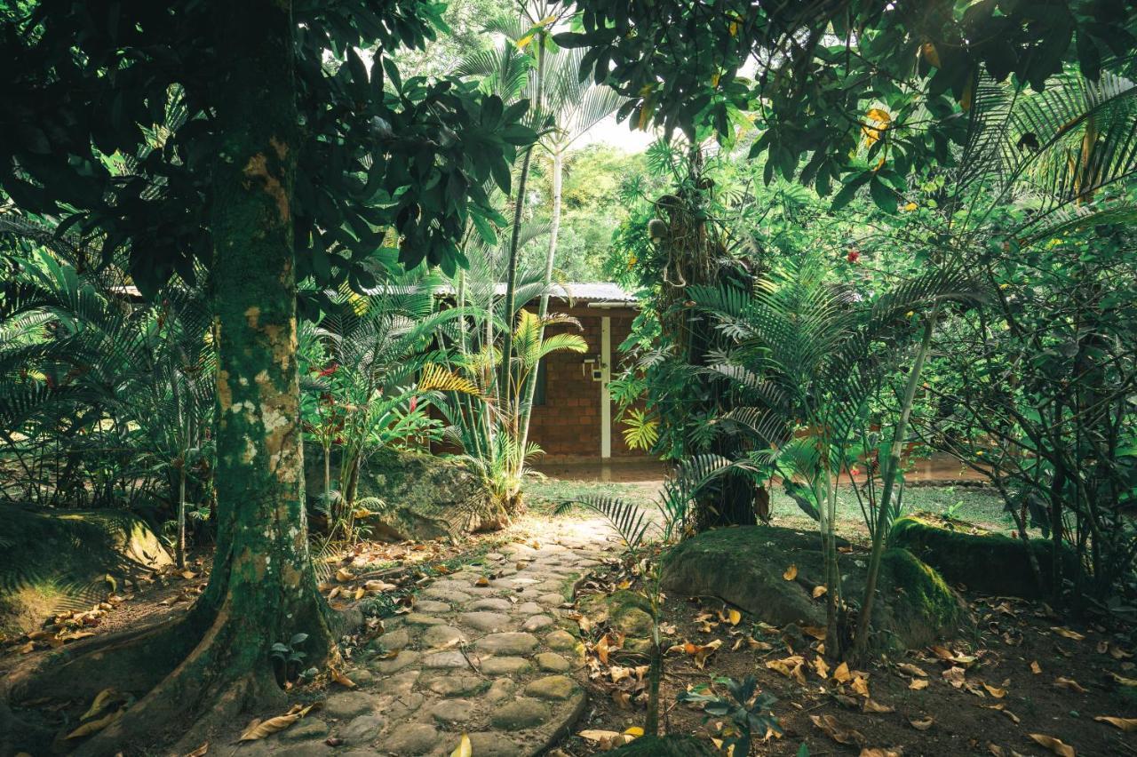 טראפוטו Huingos Eco Lodge מראה חיצוני תמונה