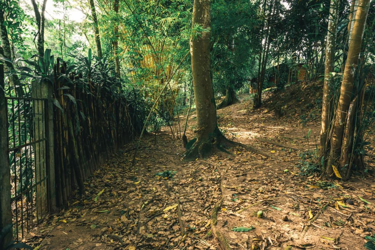 טראפוטו Huingos Eco Lodge מראה חיצוני תמונה
