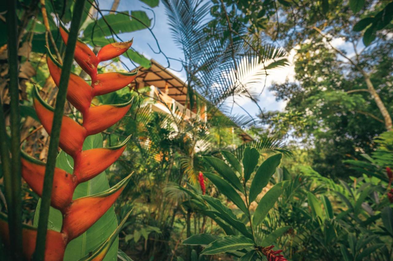 טראפוטו Huingos Eco Lodge מראה חיצוני תמונה