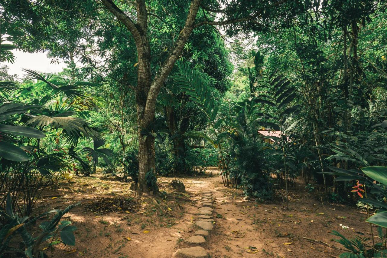 טראפוטו Huingos Eco Lodge מראה חיצוני תמונה