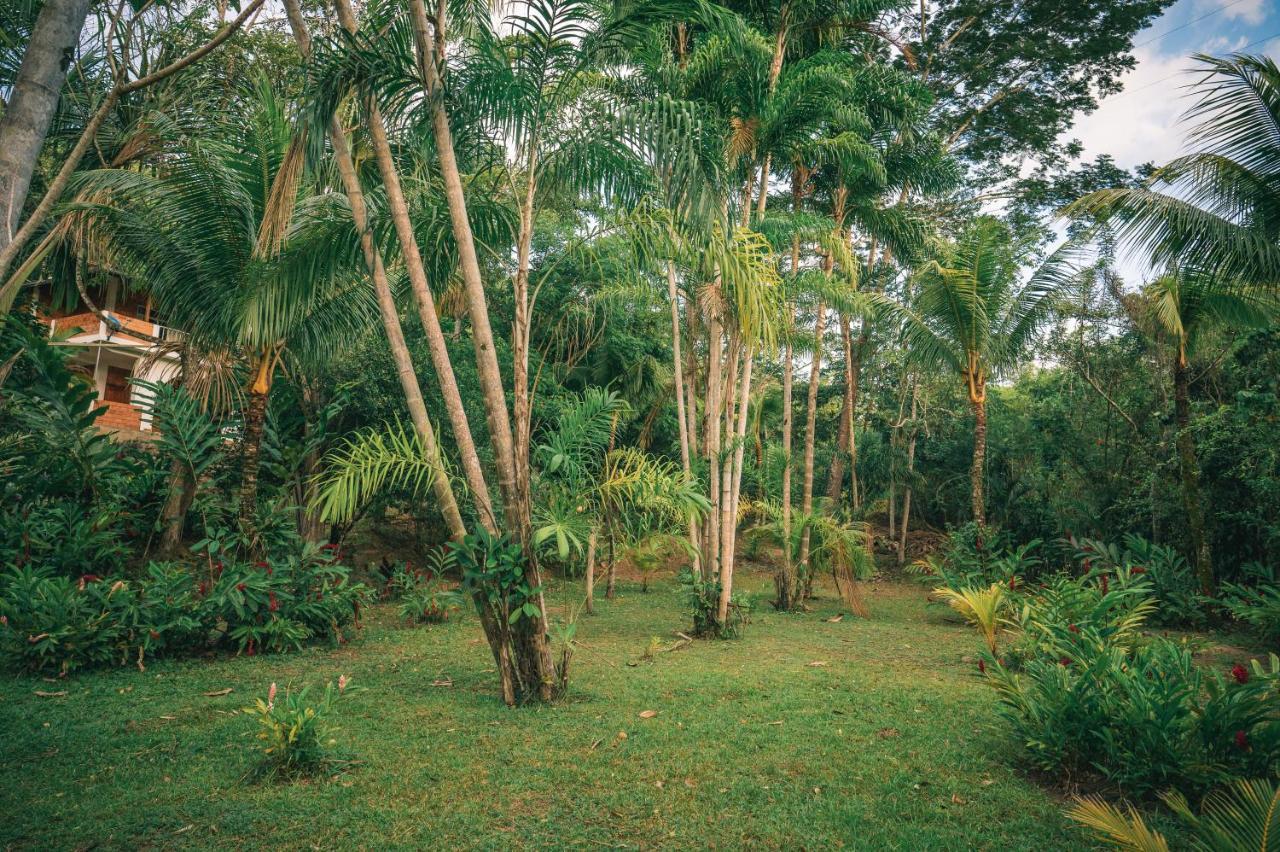 טראפוטו Huingos Eco Lodge מראה חיצוני תמונה