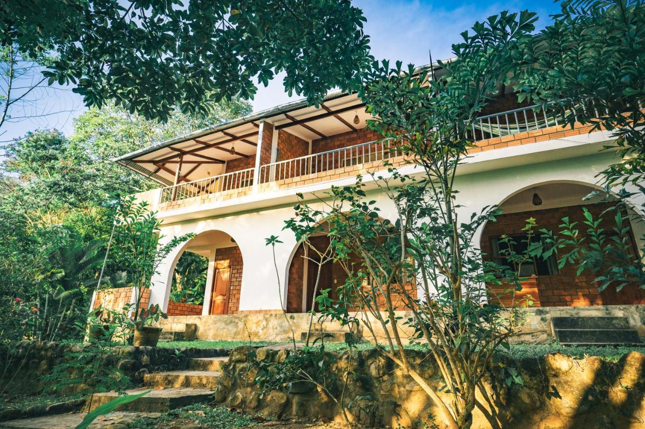 טראפוטו Huingos Eco Lodge מראה חיצוני תמונה