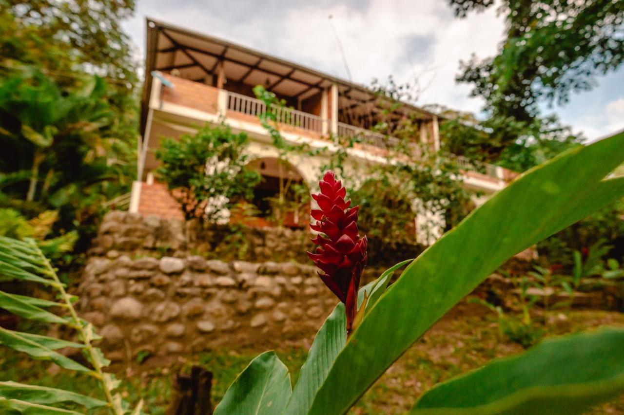 טראפוטו Huingos Eco Lodge מראה חיצוני תמונה