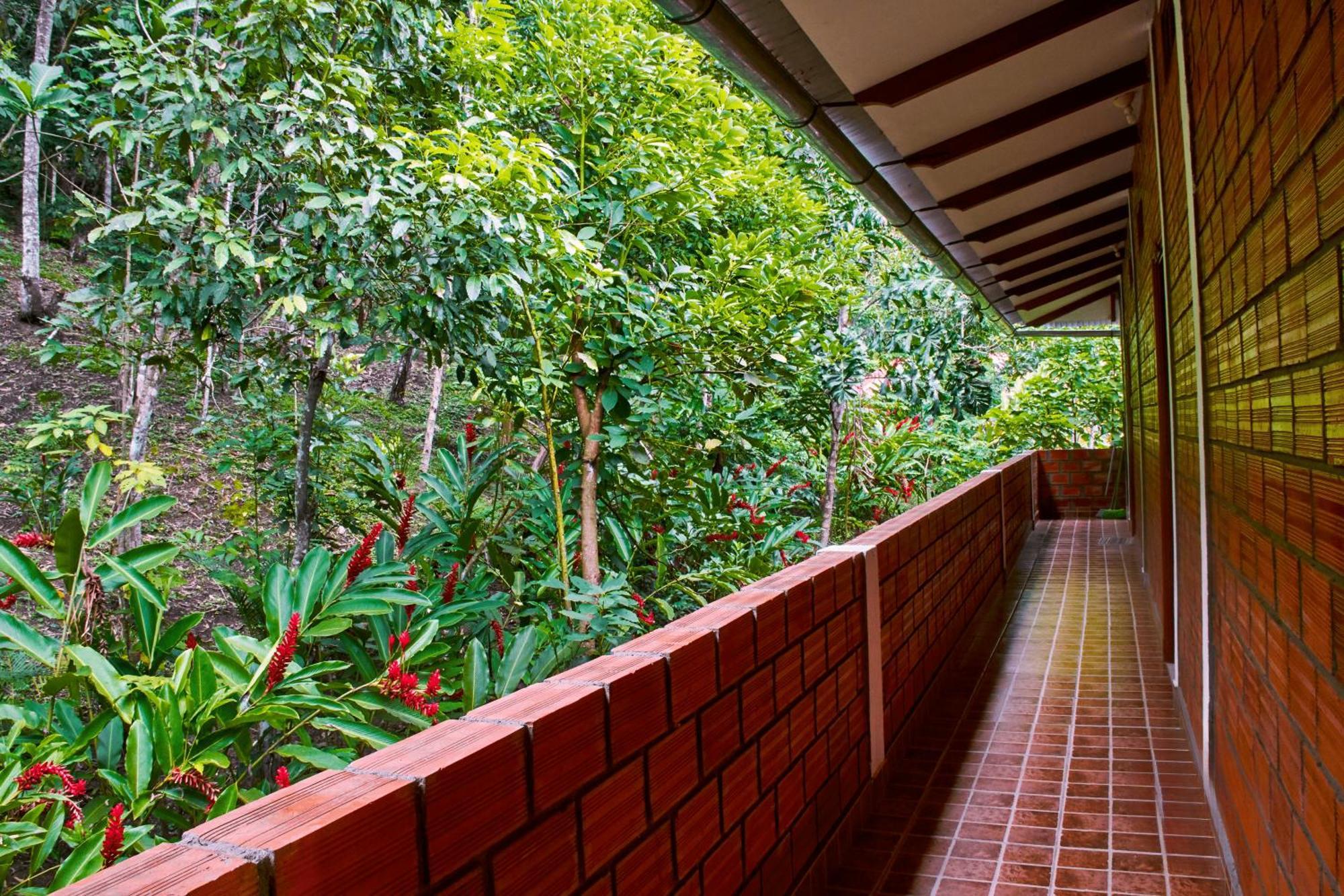 טראפוטו Huingos Eco Lodge מראה חיצוני תמונה