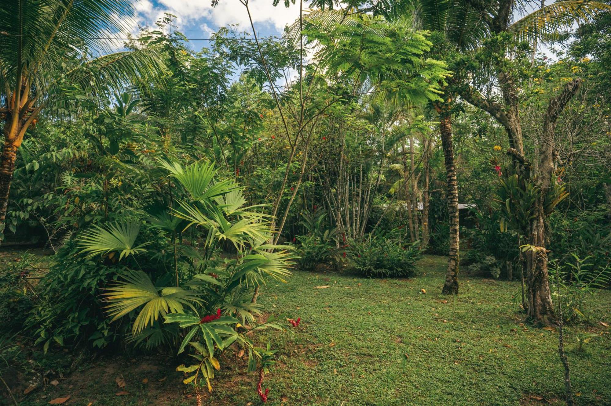 טראפוטו Huingos Eco Lodge מראה חיצוני תמונה