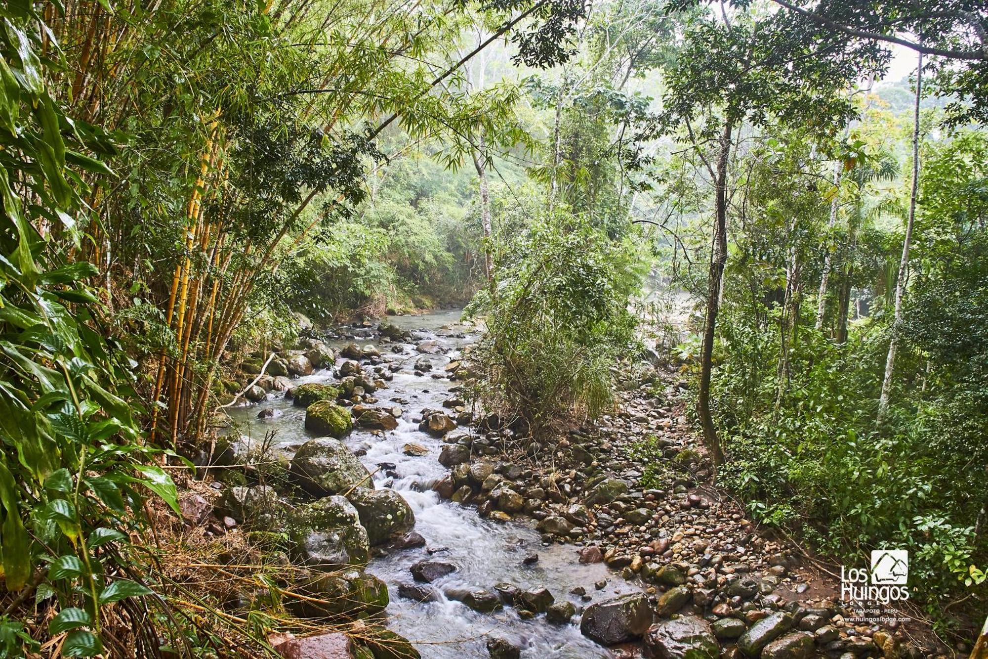 טראפוטו Huingos Eco Lodge מראה חיצוני תמונה
